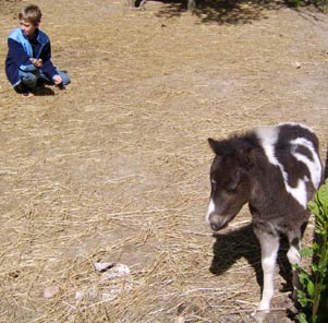 Jared and Oreo