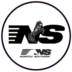 NS 8" round logo