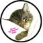 Chessie 6 inch round logo